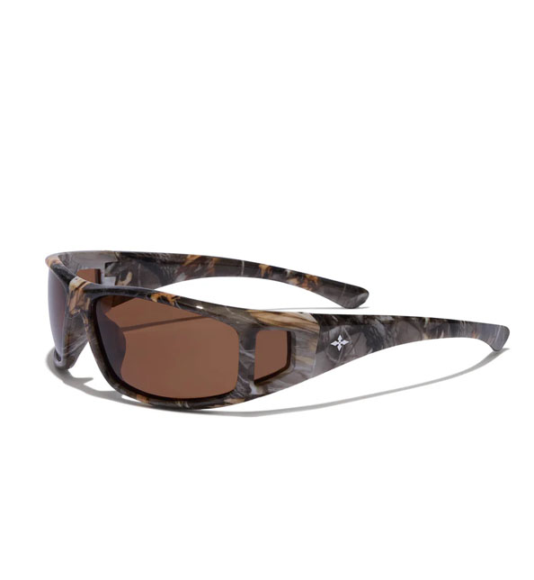 Dragster Polarized